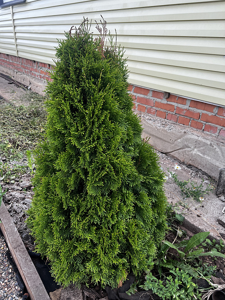 Объект, 100 кв. м, Оренбург, дачный массив Ростоши-3, СНТ Малахит, Лазурная улица, 5025