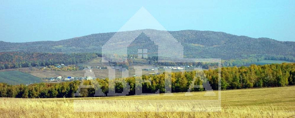 Готовый бизнес, 1000 кв.м.