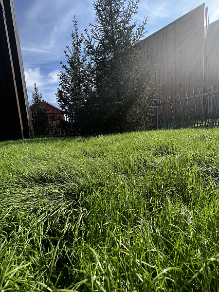 Таунхаус, 180 кв.м., Релейная, 11/5, Оренбург